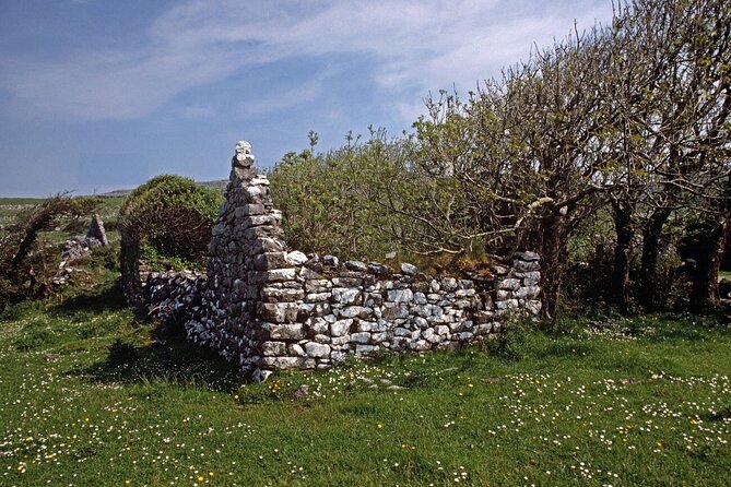 Irish Famine Museum / Exhibition Dublin - Price and Value: When $18.15 Makes Sense