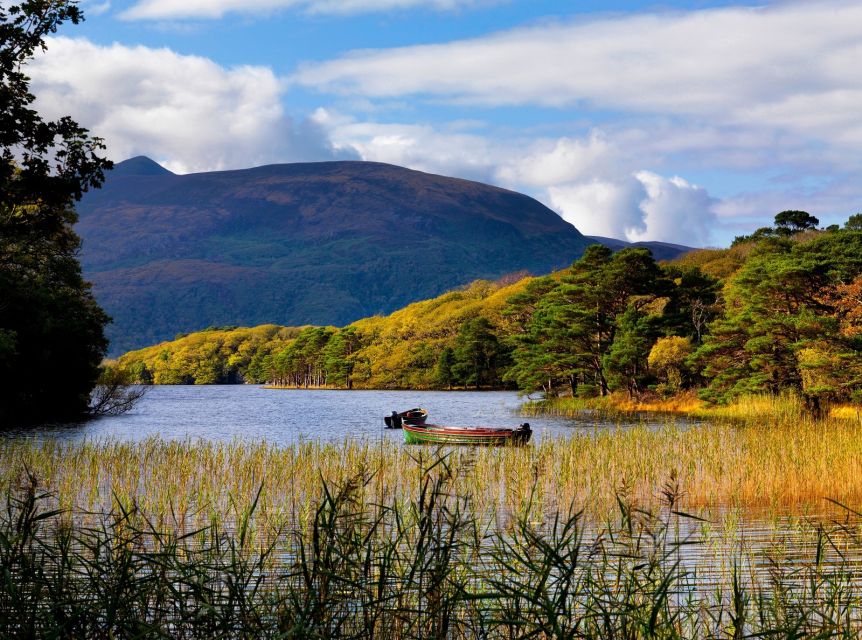 Kerry: Full-Day Tour from Dublin - Killarney town time: the gateway feeling you can actually use
