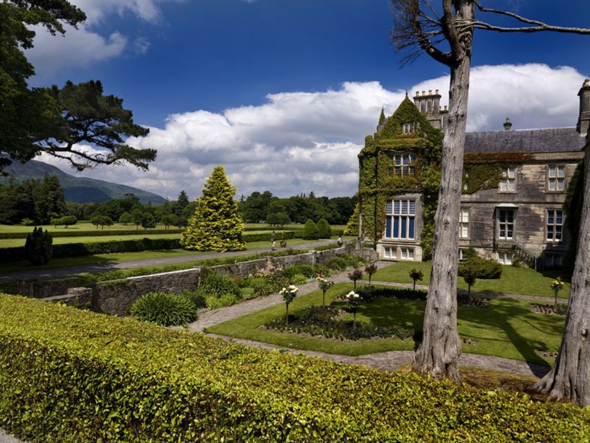 Kerry: Full-Day Tour from Dublin - Ring of Kerry style views: Dingle Bay, the wild Atlantic, and lookouts that pay