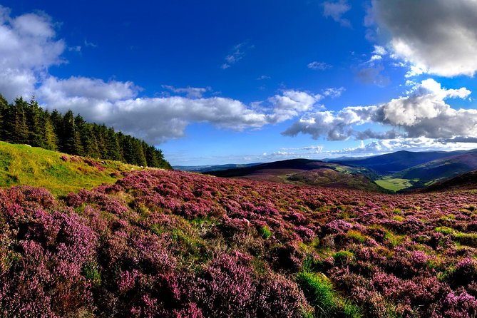 Kilkenny, Wicklow Mountains & Glendalough Day Tour from Dublin - The Coach and Guide Setup: What Makes It Comfortable