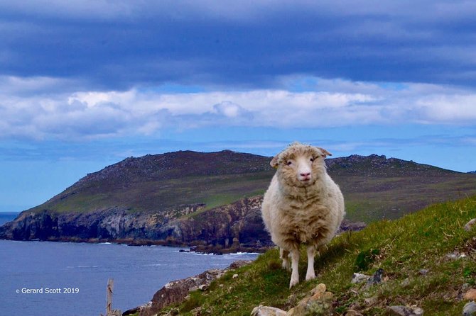 Luxury 'Luck of the Irish' Tour - 4 Day Tour - Price and what makes it good value (and what adds up)