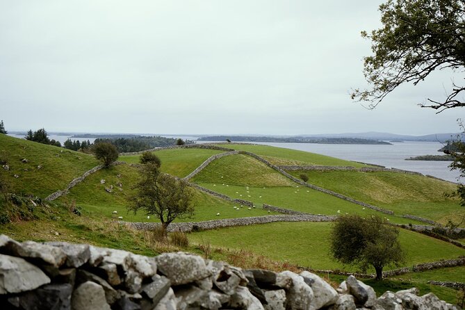Private Day Tour Cliffs of Moher from Dublin - Key highlights you should care about