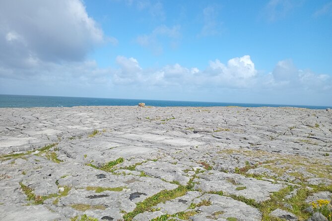 Private Day Tour Cliffs of Moher from Dublin - Burren National Park drive: scenic slow-downs without a hike day