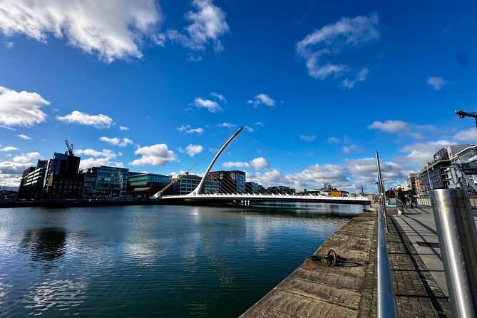 Private Dublin City tour - Guinness Storehouse: The 6-Floor Museum Plus the Pint Finish
