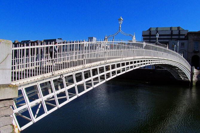 Private Fantastic Walking Tour of Dublin - Dublin Castle: grounds and courtyards without burning your time on interiors