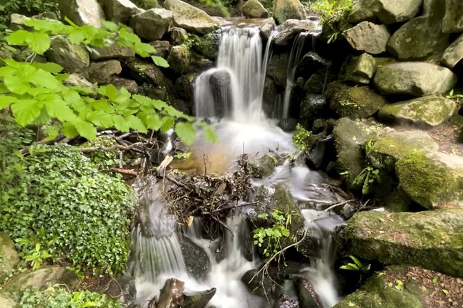 Private Garden of Ireland Wicklow Tour from Dublin - Key highlights worth clocking
