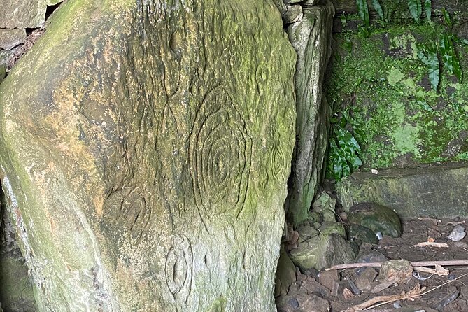 Private Tour from Dublin: Hill of Tara Trim Castle, Celtic sites - Bective Abbey Ruins and the Braveheart Scene: A Picnic Stop That Feels Like a Film Set