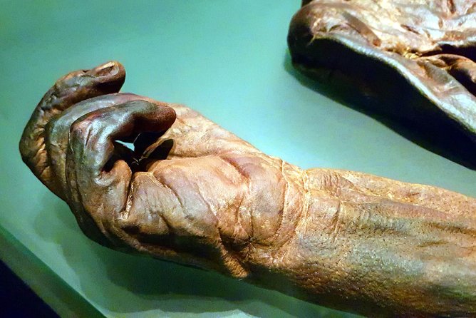 Private Tour of Dublin Museums (Walking Tour) - Pickup, Meeting Point, and the Walking Reality in Central Dublin