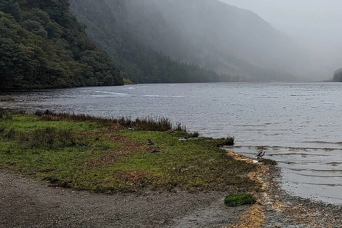 Private Tour of Wicklow, Glendalough & Powerscourt Gardens - Key Things You’ll Like About This Wicklow Private Tour