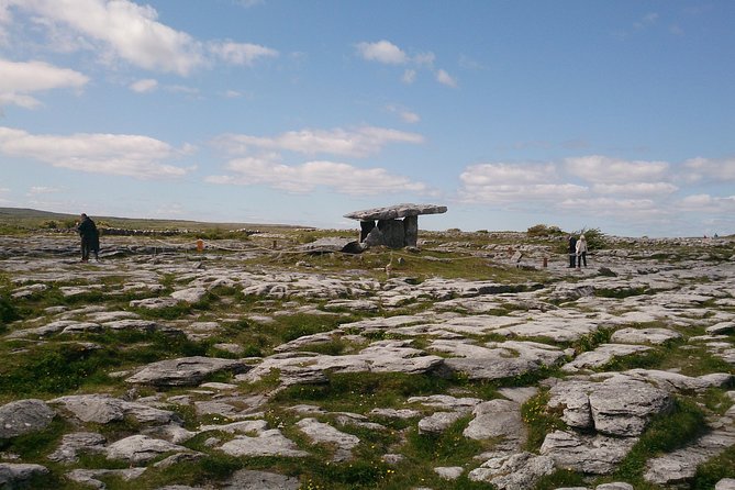 Private tour to the Cliffs of Moher guided in Spanish - Burren National Park: short, scenic, and photo-focused