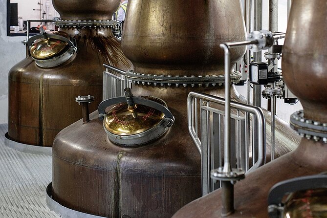 Private VIP Whiskey Tour from Dublin with Slane Castle Distillery - Timing, walking, and what you should pack for a smooth day