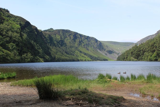 Private Wicklow Mountains Day Tour - Why a private Wicklow day beats the bus rhythm