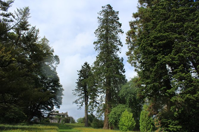 Private Wicklow Mountains Day Tour - How the tour “works” in your day: timing and pacing