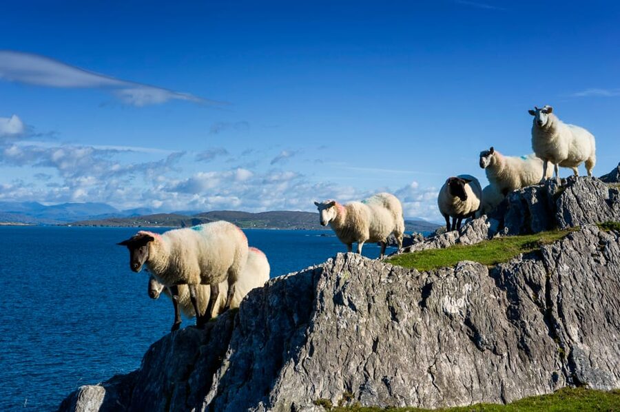 Private Wild Atlantic Day Tour from Cork - Key highlights you’ll feel on day one