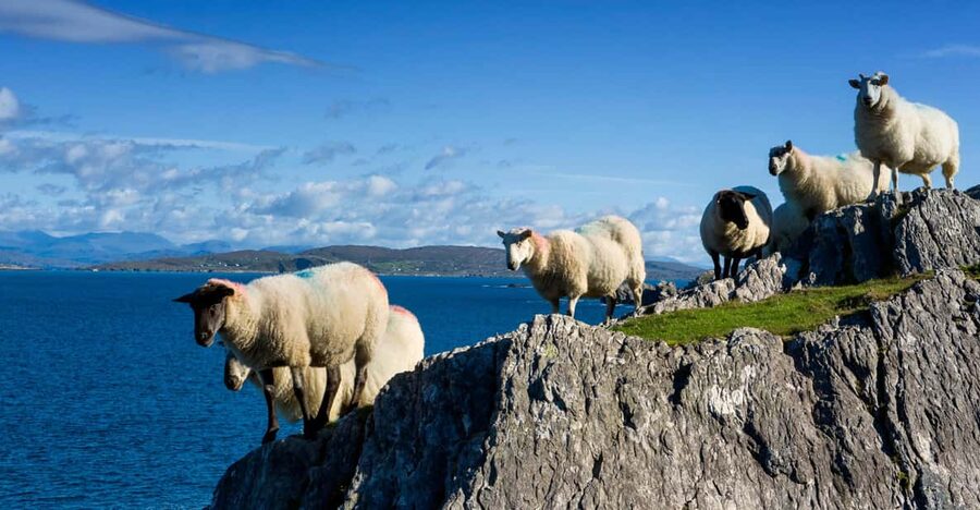 Private Wild Atlantic Day Tour from Cork - How a private Wild Atlantic day from Cork keeps you in control