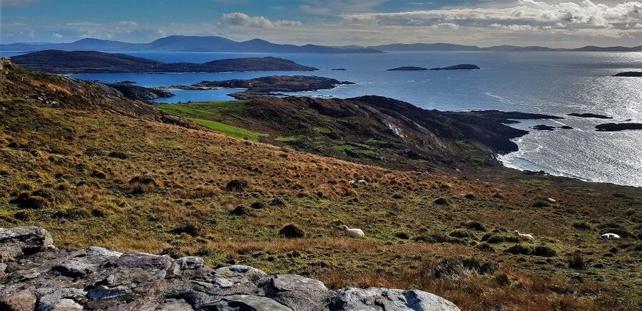 Rail Tour from Dublin: The Ring of Kerry - Meals, Extra Stops, and the Cash-Only Reality