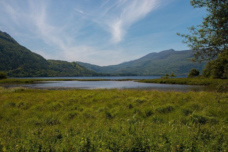 Rail Tour from Dublin: The Ring of Kerry - How Long This Day Really Feels: Packed Train, Controlled Timing, Lots of Time Outside