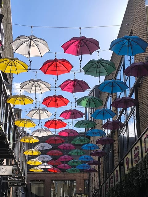 Secret and unusual Dublin: guided walking tour - Best reasons to pick this Secret and unusual Dublin walk