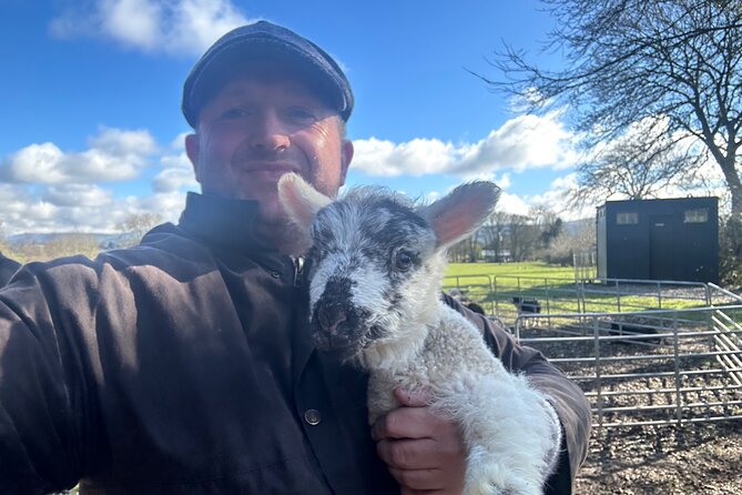 Sheepdogs in the countryside, authentic Dubliners city tour combo - Phoenix Park: deer spotting and a taste of Irish sport