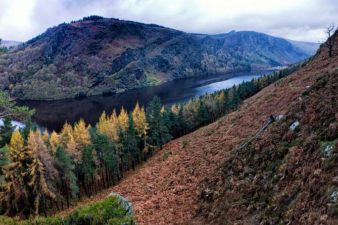 (Small Group) Shore Tour from Dublin:Dublin Highlights and Glendalough Day Trip - Grafton Street Shopping: Your Flexible Time Slot