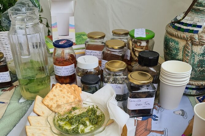 Spring Tonic Foraging Tour - Howth foraging with Nicole: the point of the tour