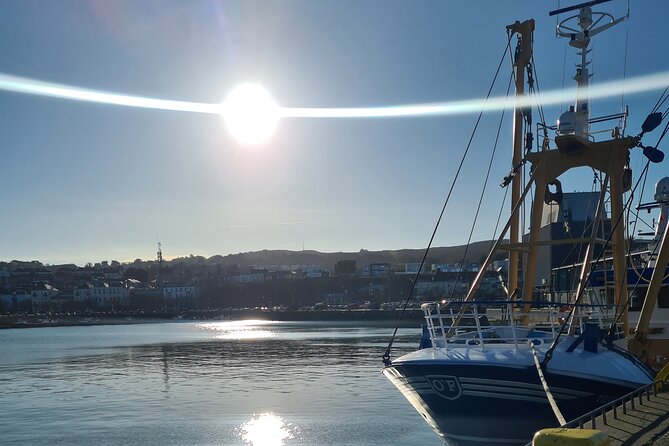 Spring Tonic Foraging Tour - Stop around Howth: the foraging walk and ecosystem focus