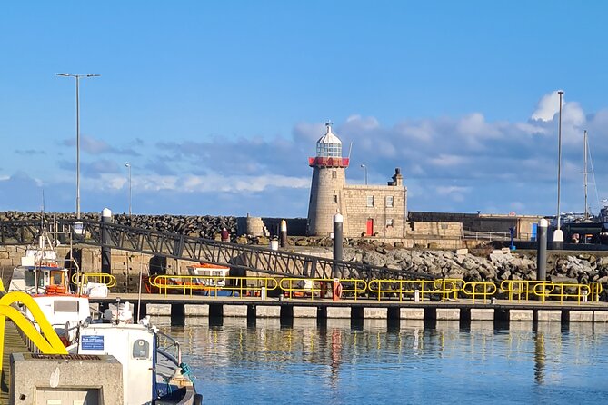 Spring Tonic Foraging Tour - Howth fishing village: breaks, shops, and local flavor