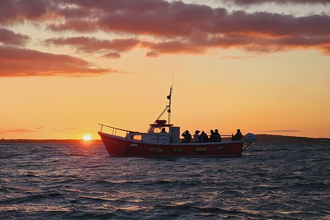 Sundown Cruise Around the Island of Ireland's Eye from Howth - Getting up close to the island: the small-boat advantage