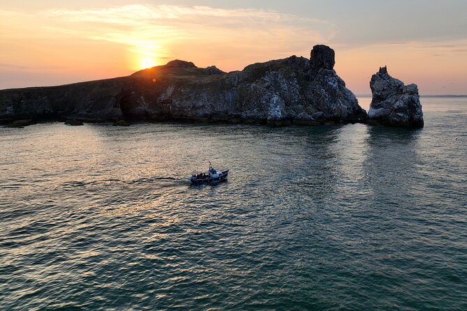 Sundown Cruise Around the Island of Ireland's Eye from Howth - Captain Mags and the wildlife factor: birds and seals without the lecture