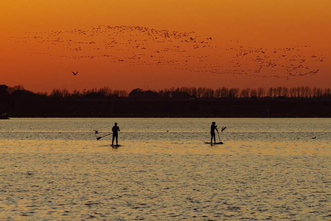 Sunset SUP experience in Malahide, Dublin - Key highlights at a glance