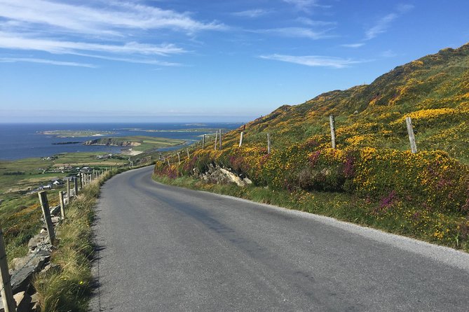 Sustainable Connemara and Galway Bay Rail Tour from Dublin - Return to Dublin: late-day train comfort and how to avoid fatigue traps