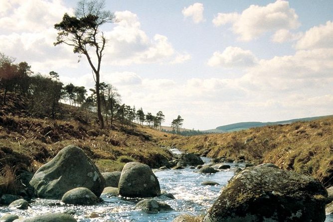 The Original Award Winning Wild Wicklow Tour incl. Glendalough - Glendalough Monastic Settlement: Round Tower + Two Lakes Time