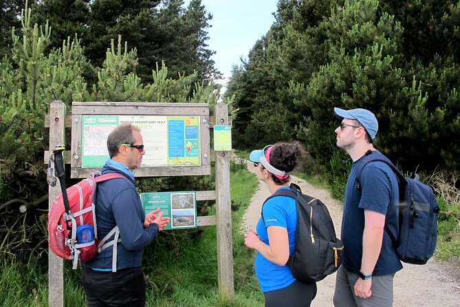 Trek the Tombs and Trails in the Dublin Mountains - Ridge Walking to a Stone Circle Burial Site