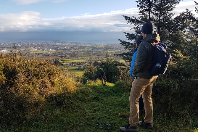 Trek the Tombs and Trails in the Dublin Mountains - Forest Descent, The Hazel House Area, and Your Food Choices