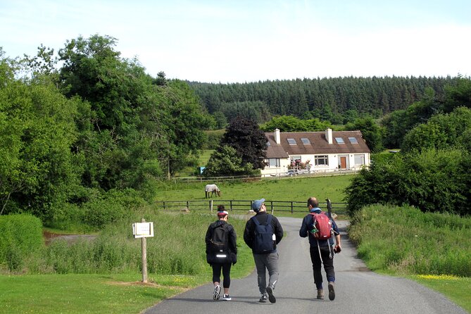 Trek the Tombs and Trails in the Dublin Mountains - Price and Time: Is $180.44 Good Value?
