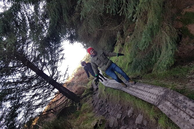 Trek the Tombs and Trails in the Dublin Mountains - Who This Hike Suits Best