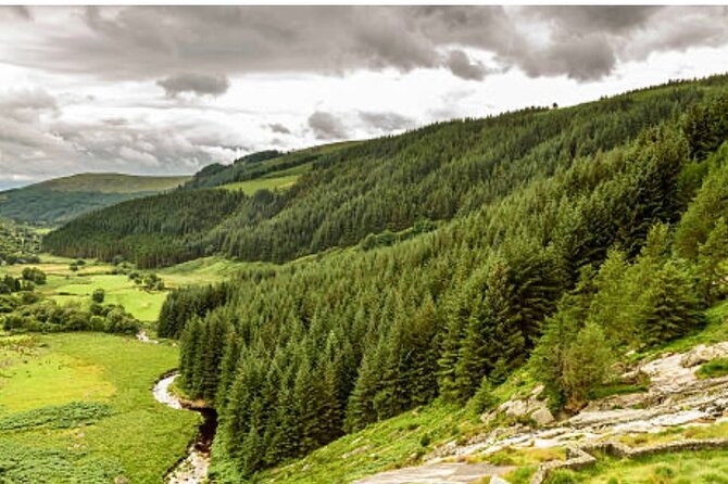 Wicklow and Glendalough Private Chauffeured Sightseeing Tour - Who This Tour Suits Best