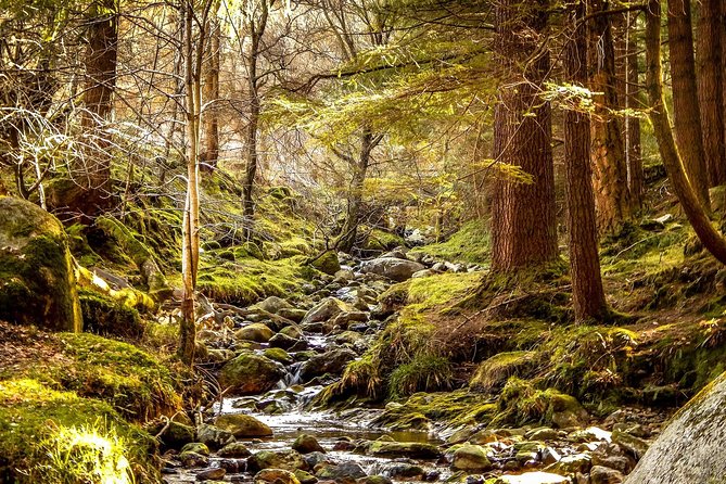 Wicklow Mountains, Avoca and Glendalough Rail Tour from Dublin - Glendalough: The Lakes and Monastery Ruins That Actually Hold Your Attention