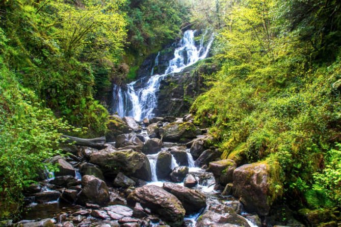 Wicklow Mountains & Glendalough Luxury Private Day Tour - Powerscourt Waterfall: Wildlife Spotting With a Short Walk