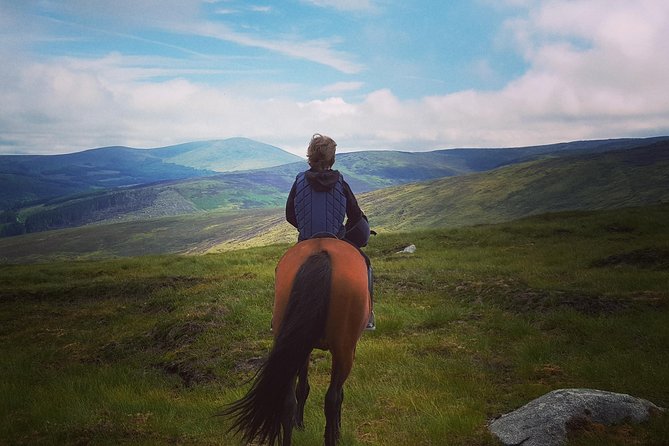 Wicklow Mountains Horse Trekking - Key things I’d bank on before you book