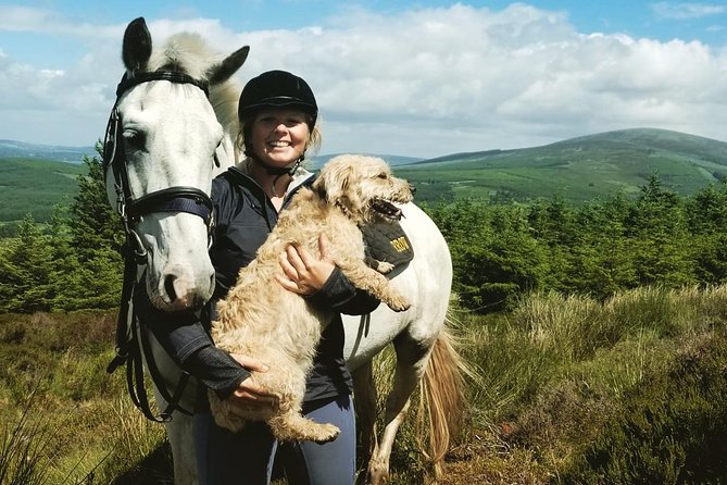 Wicklow Mountains Horse Trekking - Wicklow Mountains horse trekking: what this ride feels like