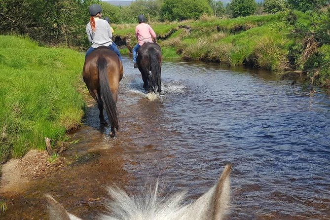 Wicklow Mountains Horse Trekking - The trail plan over the Wicklow Mountains and Kings River valley