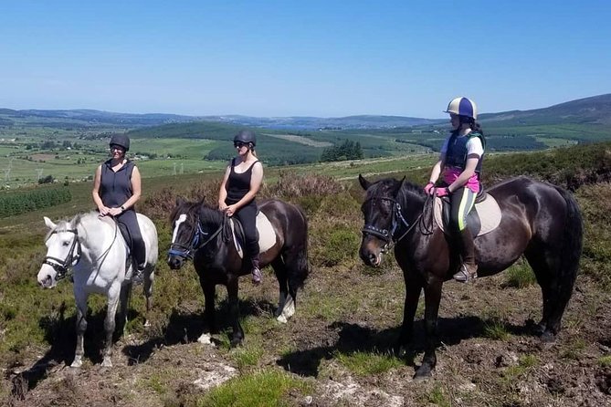Wicklow Mountains Horse Trekking - What makes Hollywood Horse And Pony Trekking special on the ground
