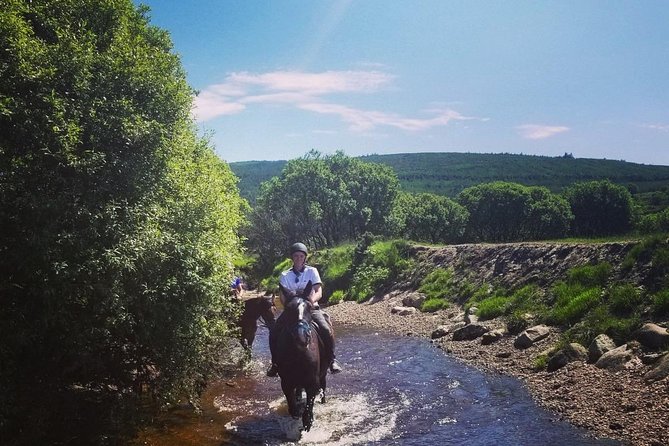 Wicklow Mountains Horse Trekking - Who this trek is best for (and who should reconsider)