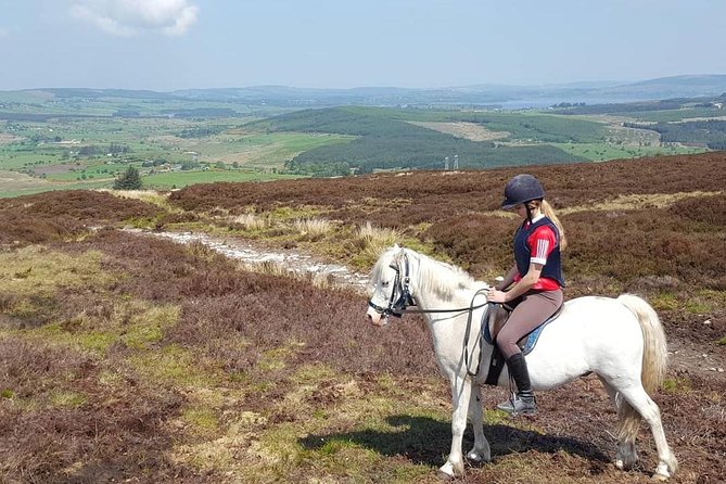 Wicklow Mountains Horse Trekking - Weather is part of the plan, so dress for it