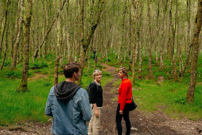 Wicklow Mountains Private Day Trip from Dublin - Glendalough Monastic Settlement: two lakes and quiet history
