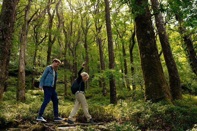 Wicklow Mountains Private Day Trip from Dublin - Price in context: what $52 buys and what costs extra