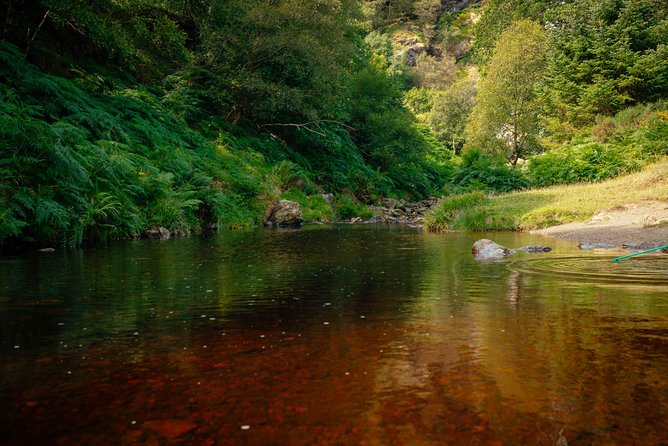 Wicklow Mountains Private Day Trip from Dublin - Should you book this Wicklow Mountains Private Day Trip from Dublin?