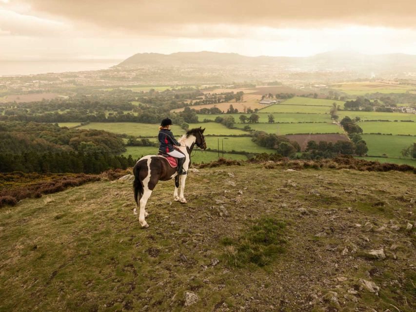 Wicklow: Private Day Tour from Dublin - Timing for an 8-Hour Day: How to Make It Feel Longer