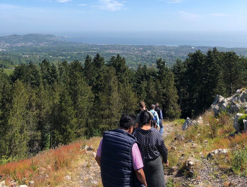 Wicklow: Private Day Tour from Dublin - Price and Value: $658 per Group for Up to 8